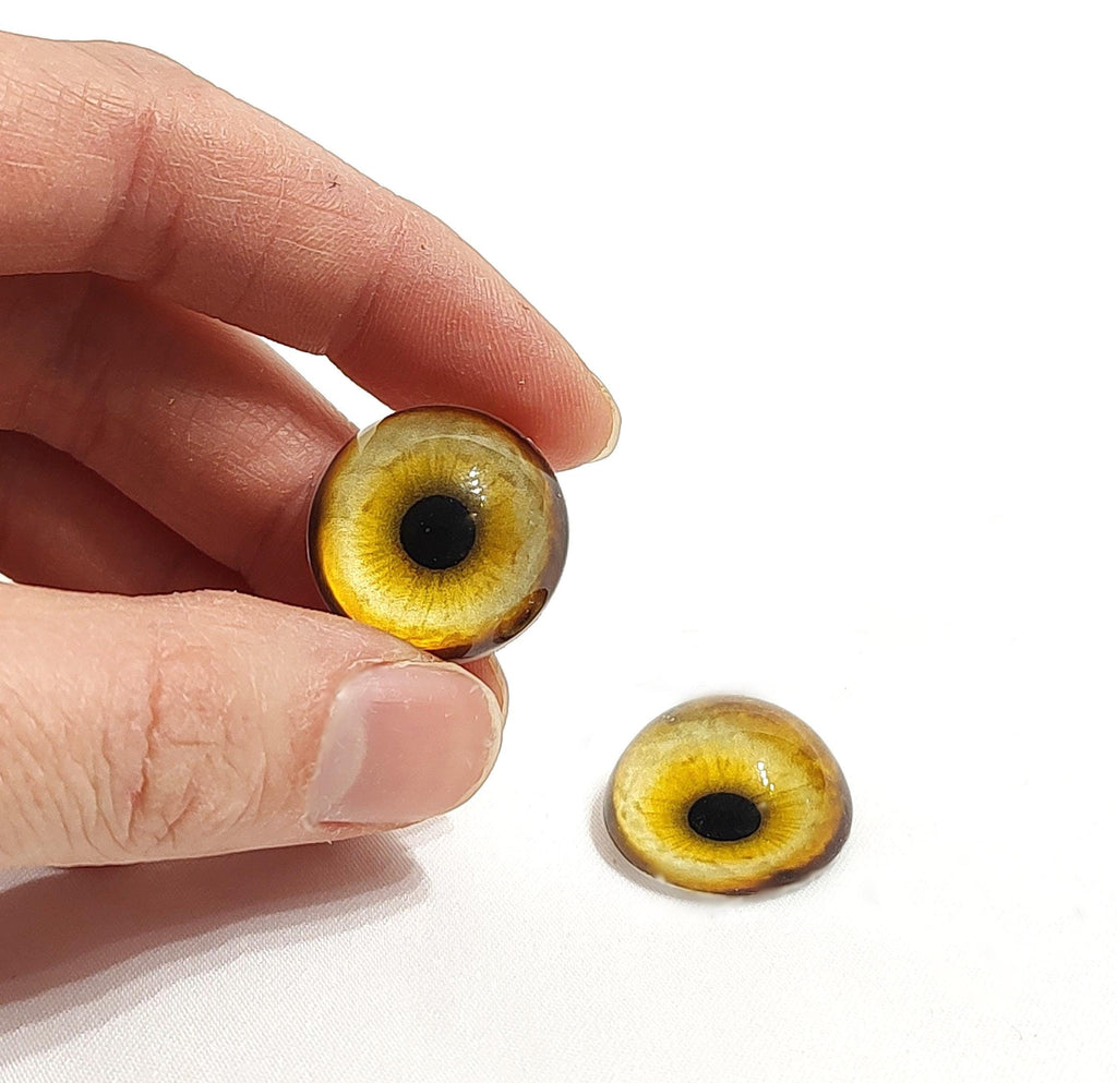 Dandelion Yellow Coyote CW15- Handmade Glass Taxidermy Eyes