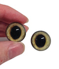 Gold Wide Pupil Fox Eyes WRF12 - Handmade Glass Taxidermy Eyes