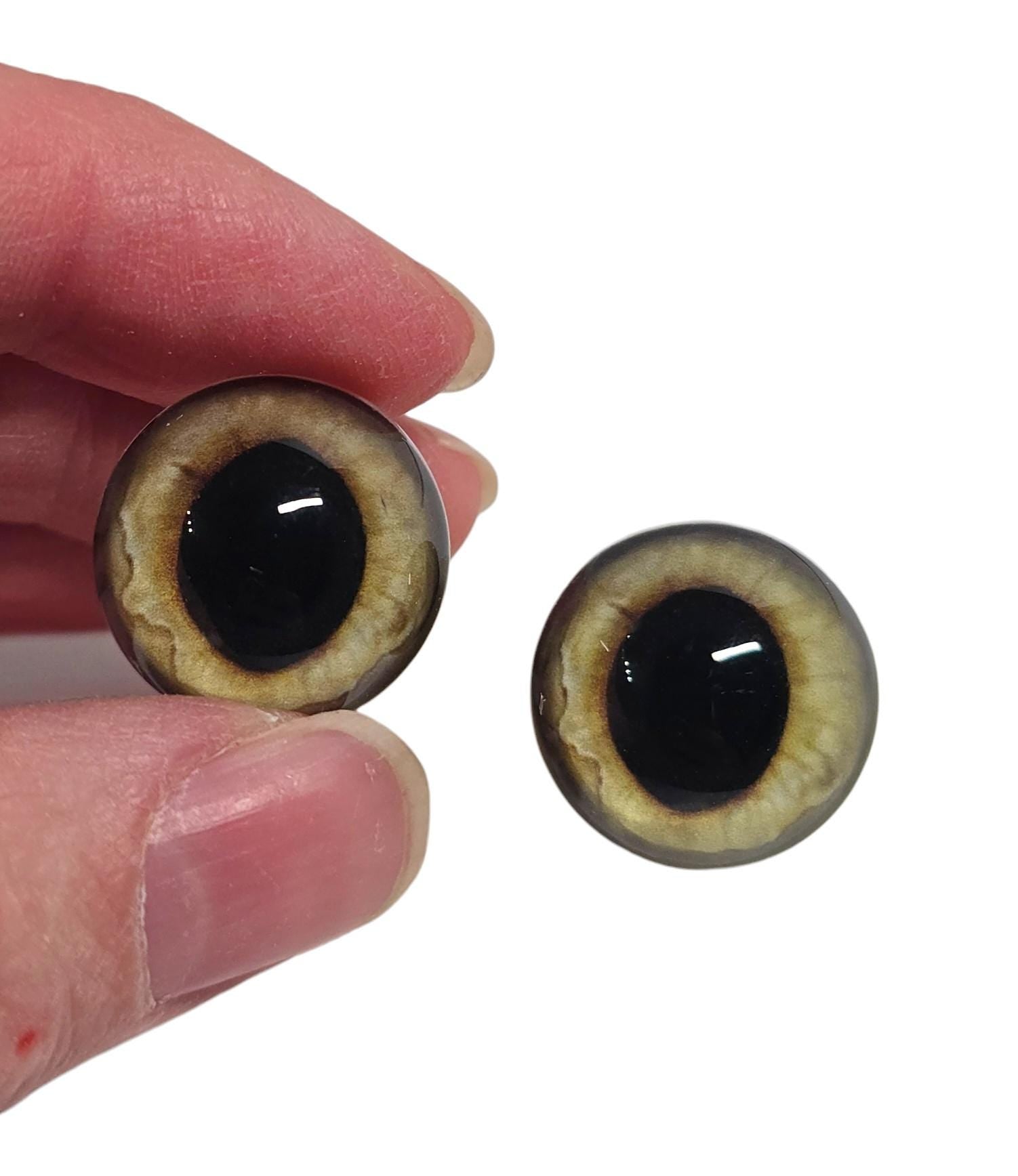 Gold Wide Pupil Fox Eyes WRF12 - Handmade Glass Taxidermy Eyes