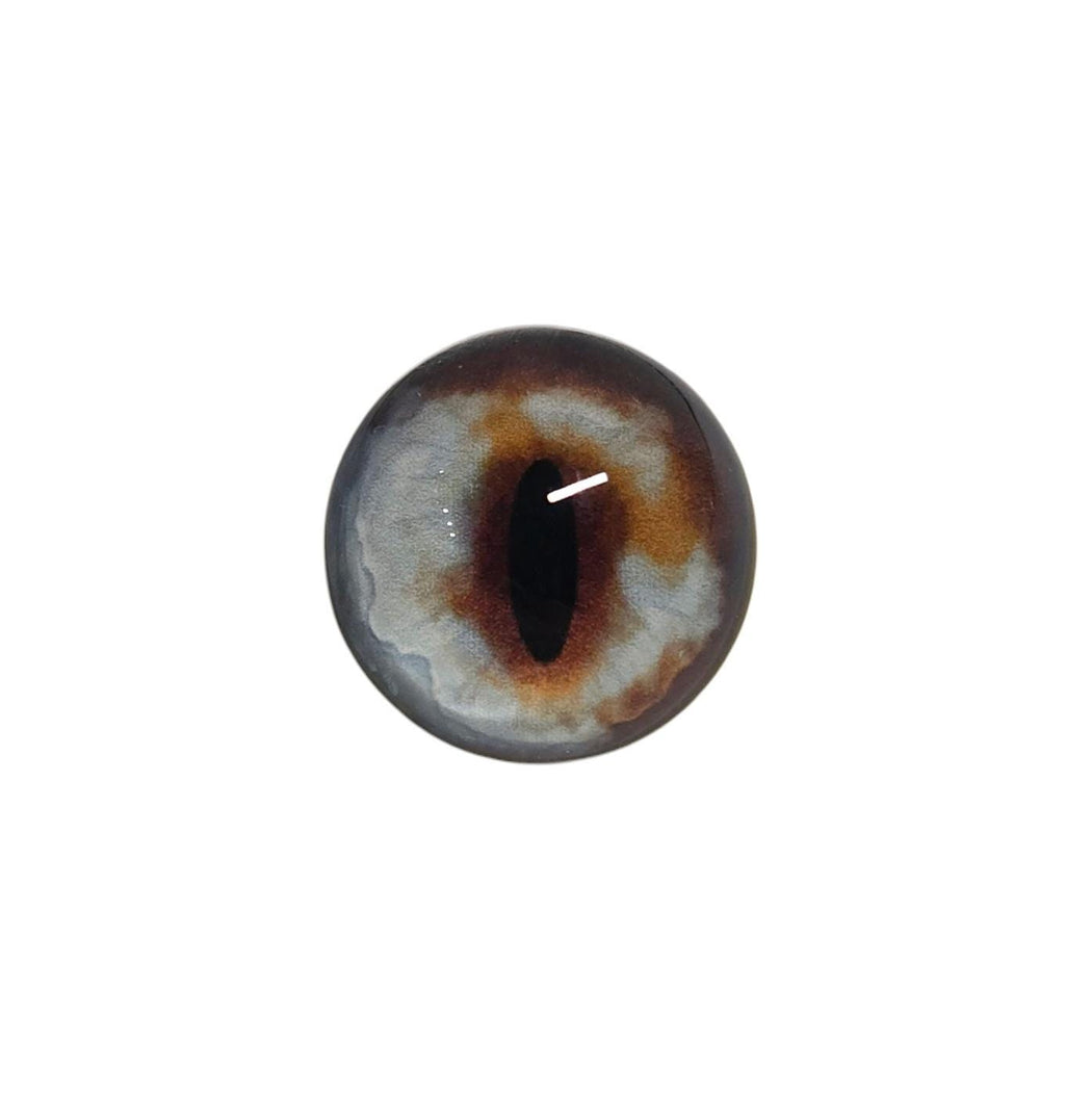 Dark Brown and Blue Fox Heterochromia Eyes HC5 - Handmade Glass Taxidermy Eyes