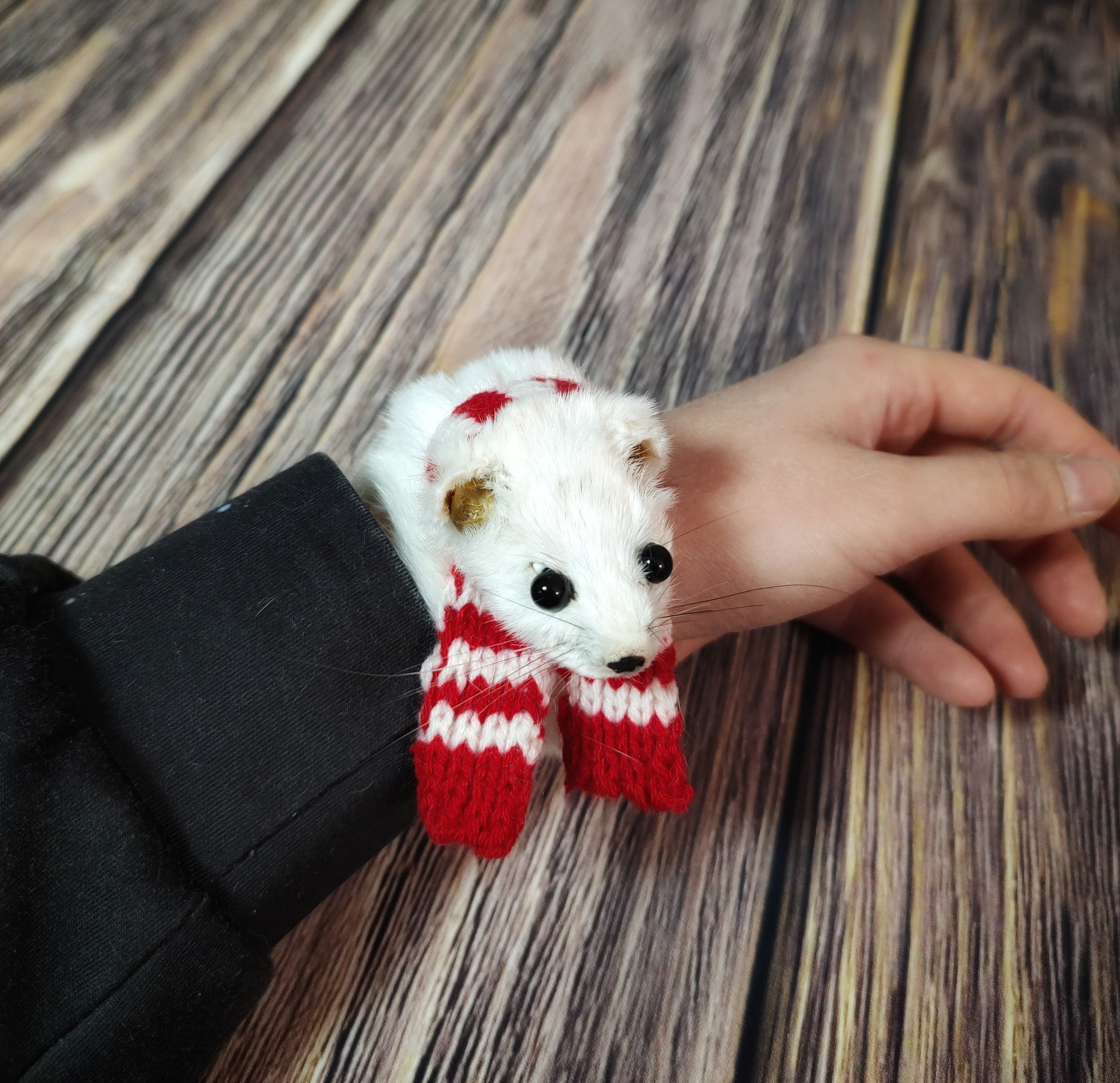 Weasel Slap Bracelet, Sherman the Ermine, White Ermine Slap Bracelet, Taxidermy Oddities Bracelet, Real Fur