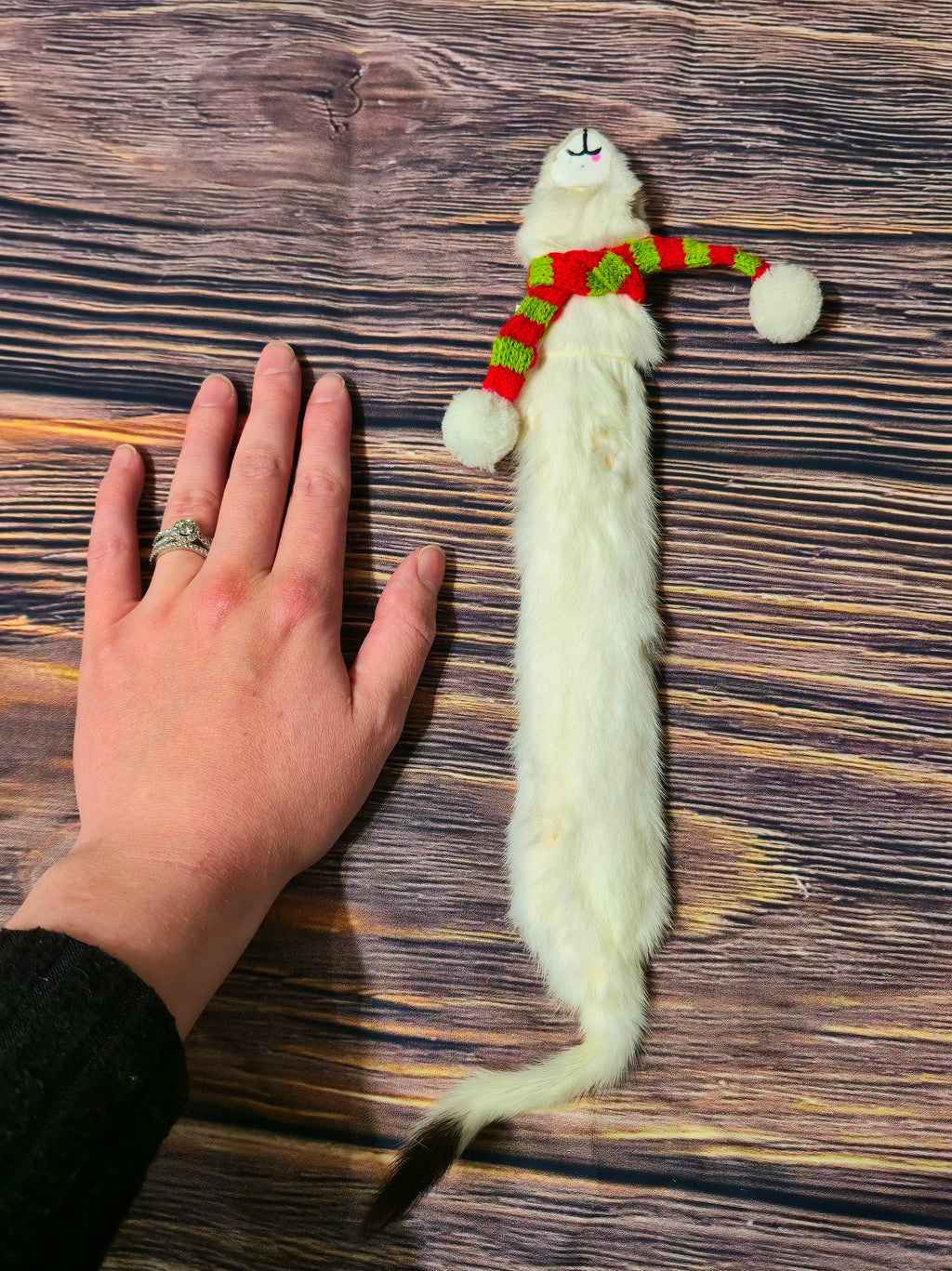 Weasel Slap Bracelet, Sherman the Ermine, White Ermine Slap Bracelet, Taxidermy Oddities Bracelet, Real Fur