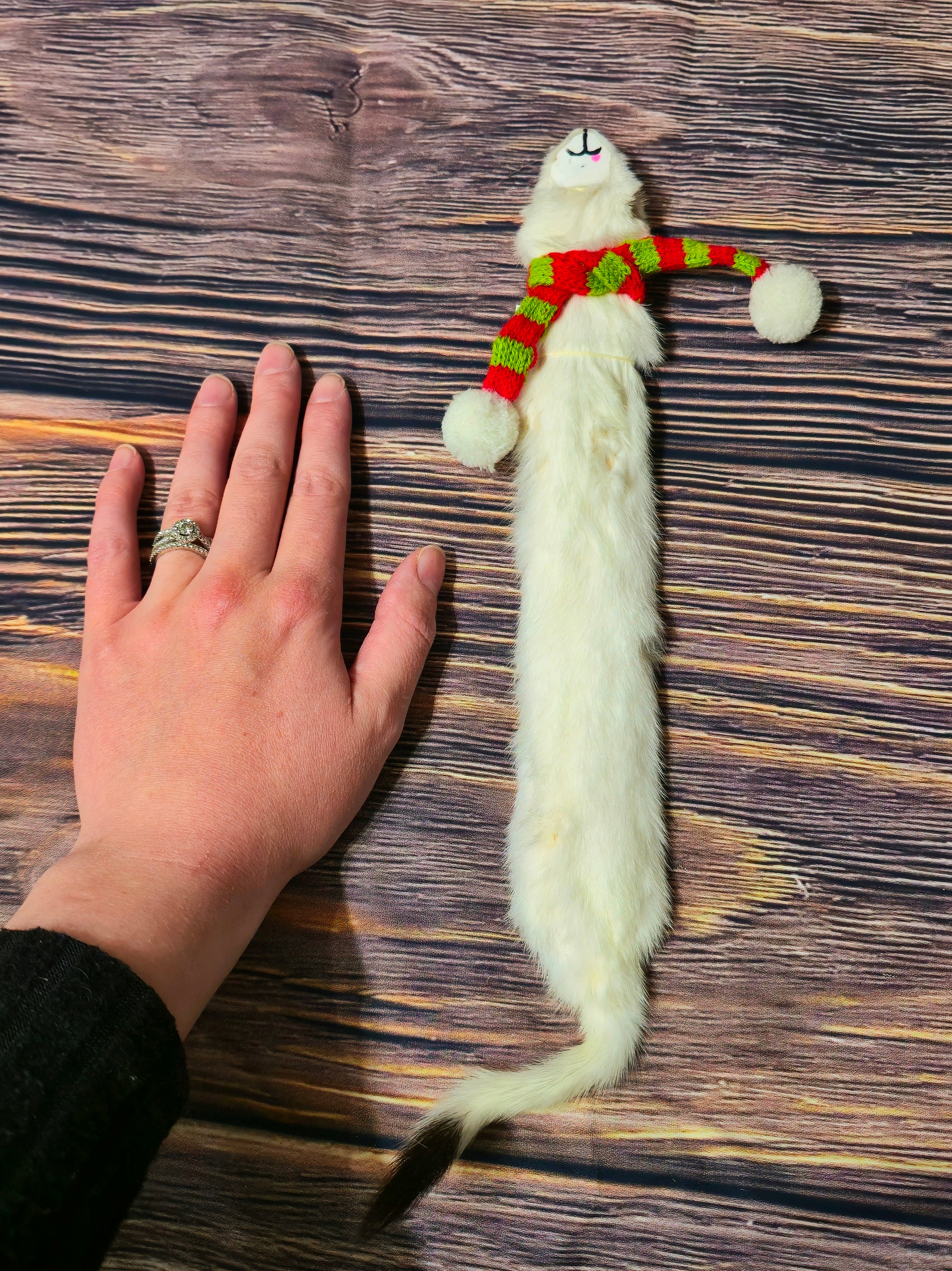 Weasel Slap Bracelet, Sherman the Ermine, White Ermine Slap Bracelet, Taxidermy Oddities Bracelet, Real Fur