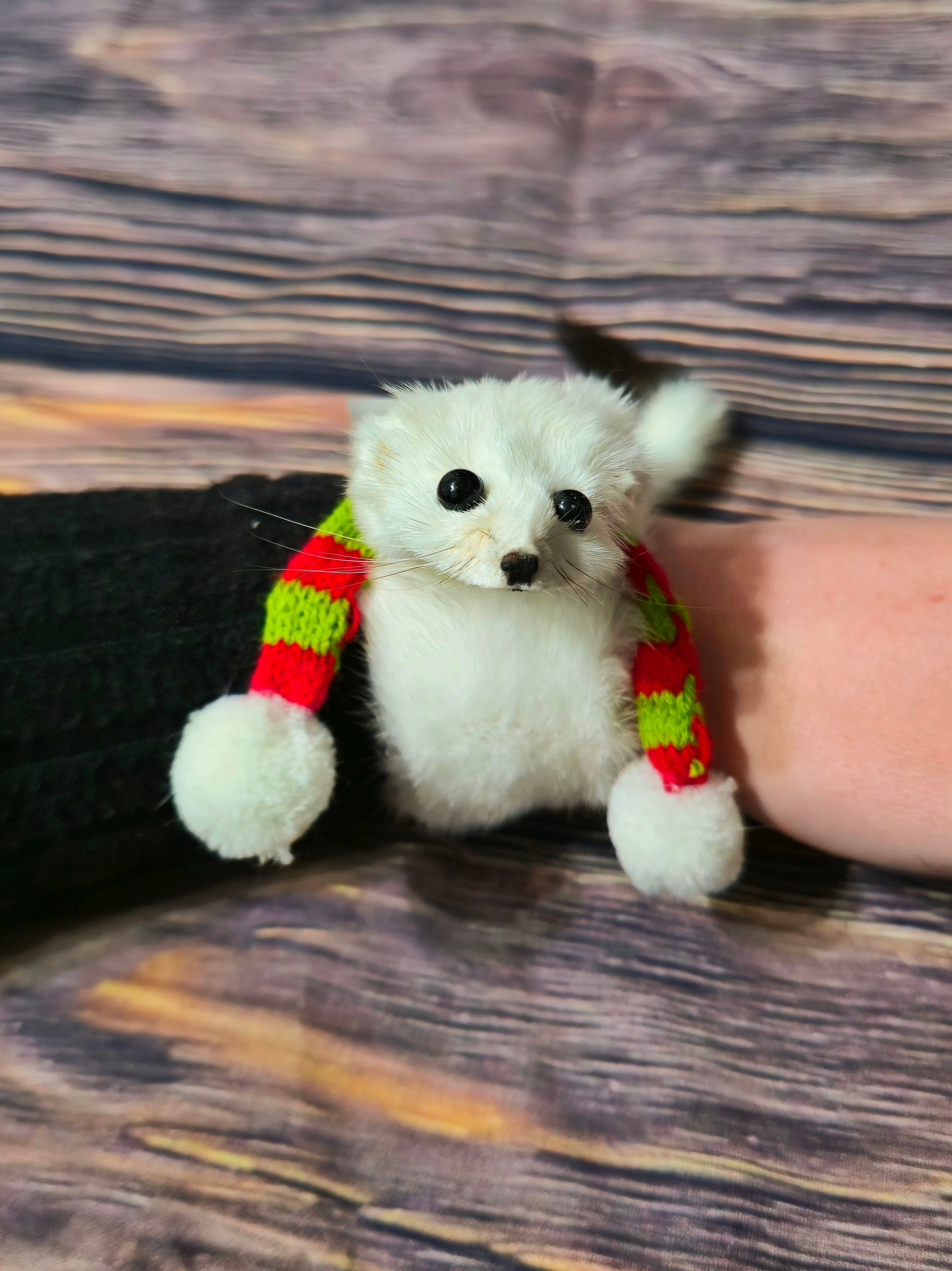 Weasel Slap Bracelet, Sherman the Ermine, White Ermine Slap Bracelet, Taxidermy Oddities Bracelet, Real Fur