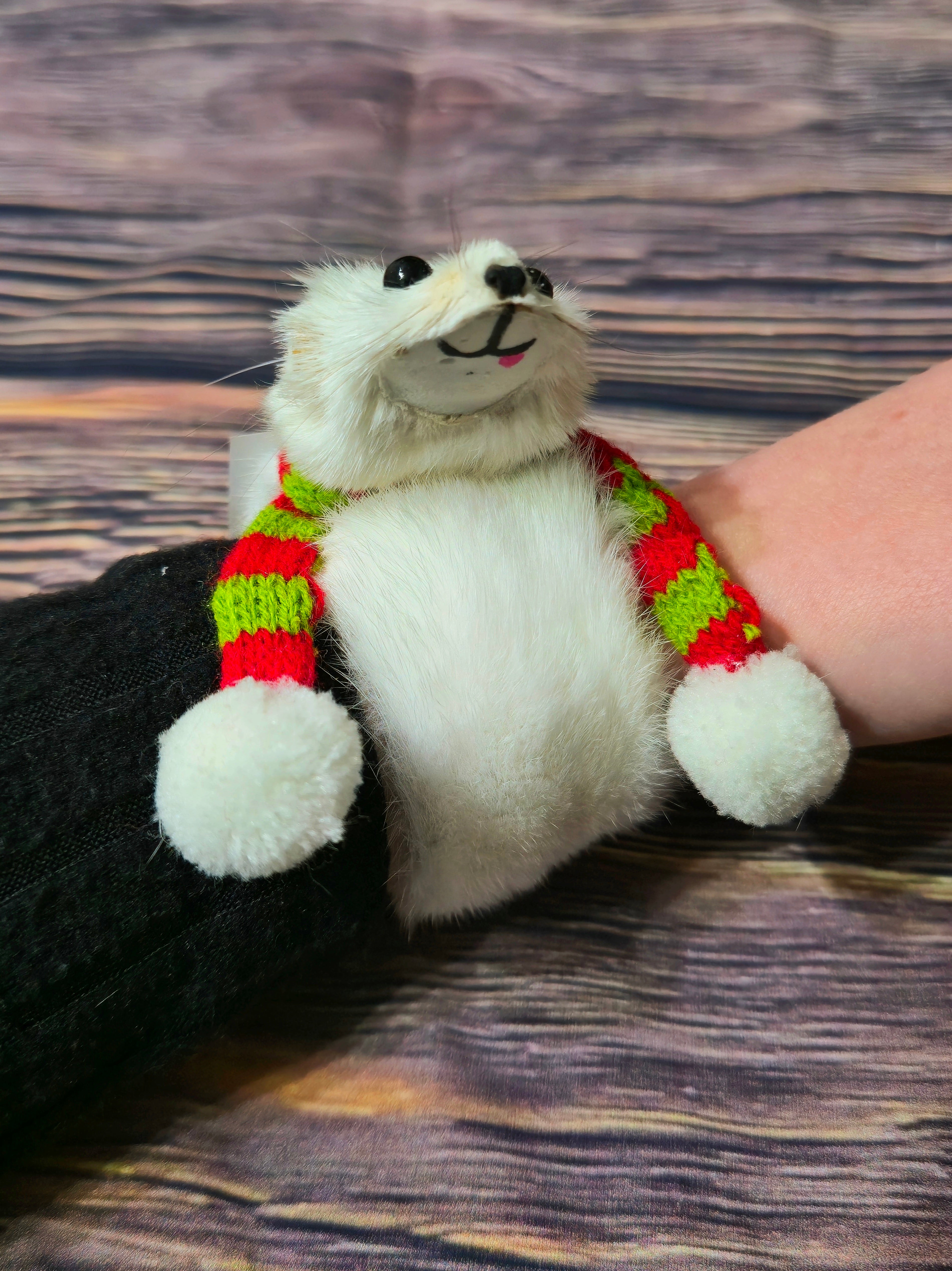 Weasel Slap Bracelet, Sherman the Ermine, White Ermine Slap Bracelet, Taxidermy Oddities Bracelet, Real Fur