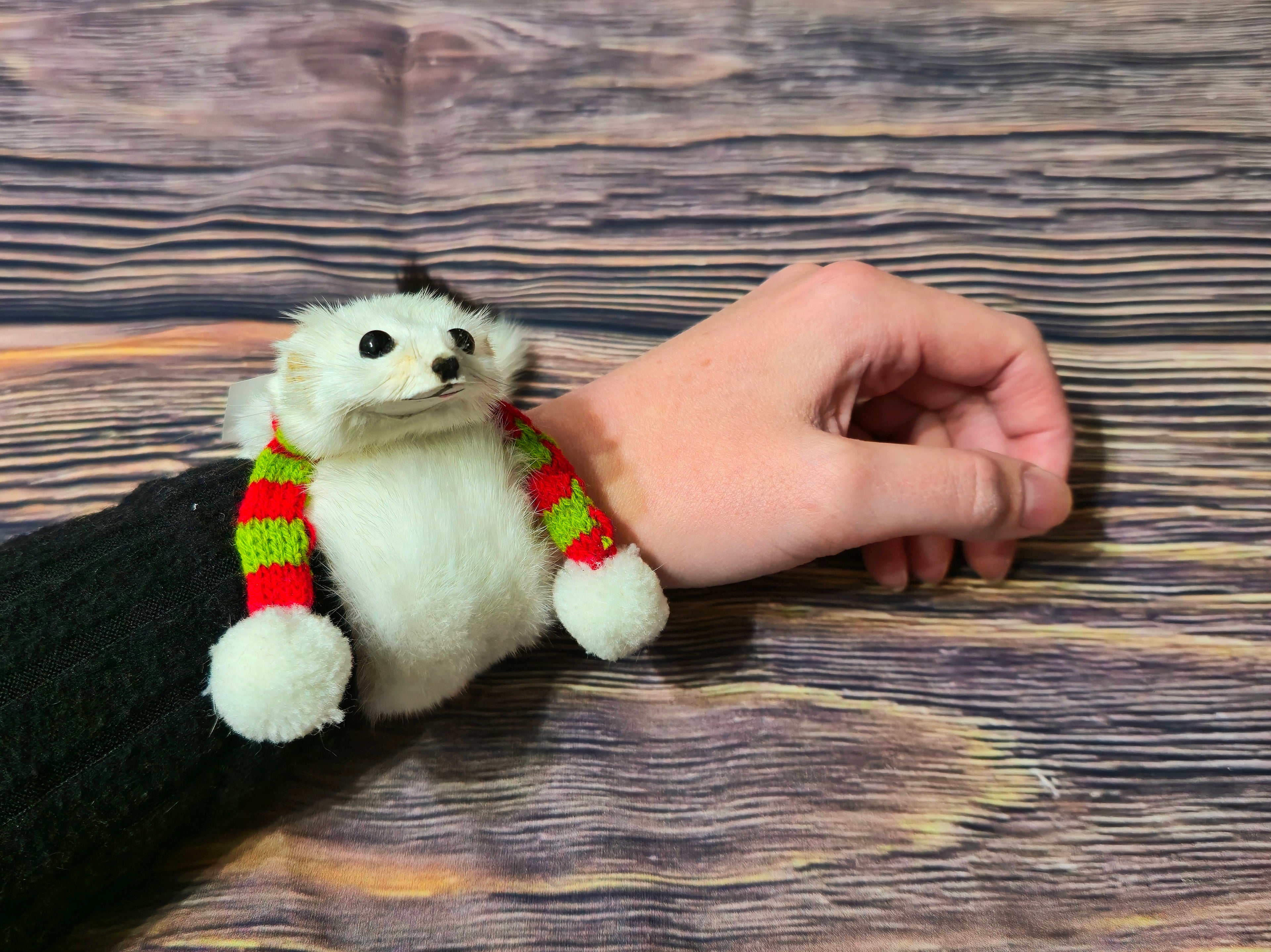 Weasel Slap Bracelet, Sherman the Ermine, White Ermine Slap Bracelet, Taxidermy Oddities Bracelet, Real Fur