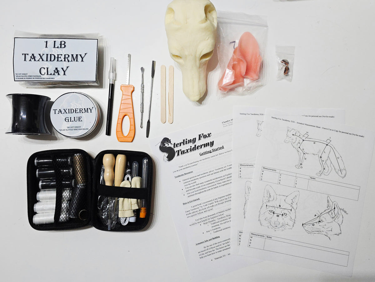 MADE TO ORDER DIY Silver Fox Soft Mount Taxidermy Kit | Ready-to-Mount | Beginner Starter Kit for Soft or Traditional Taxidermy Kit ID #14