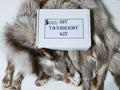 MADE TO ORDER DIY Amber Fox Soft Mount Taxidermy Kit | Ready-to-Mount | Beginner Starter Kit for Soft or Traditional Taxidermy Kit ID #13