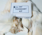 MADE TO ORDER DIY Gold Platinum Fox Soft Mount Taxidermy Kit | Ready-to-Mount | Beginner Starter Kit for Soft or Traditional Taxidermy Kit ID #9