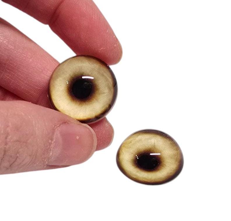 Yellow Brown Wolf CW28- Handmade Glass Taxidermy Eyes