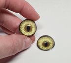 Straw Yellow Natural Bobcat BC27 - Handmade Glass Taxidermy Eyes