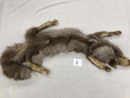MADE TO ORDER DIY Amber Fox Soft Mount Taxidermy Kit | Ready-to-Mount | Beginner Starter Kit for Soft or Traditional Taxidermy Kit ID #5