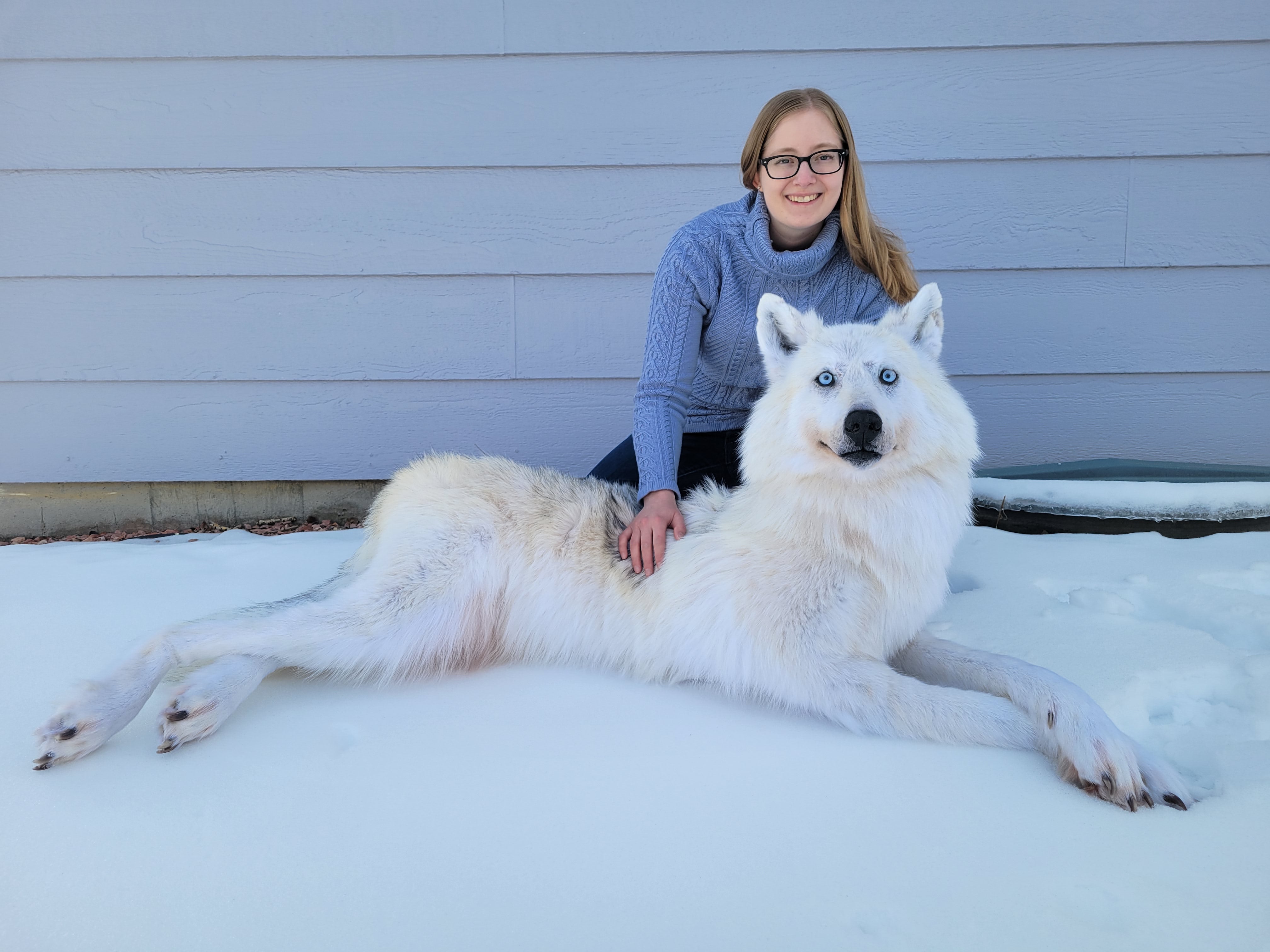 Woman sitting with a large white dog in the snow against a light blue wall.
