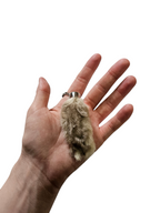 Lucky Rabbit Foot Keychain Charm - Natural Silver / Grey / Mixed