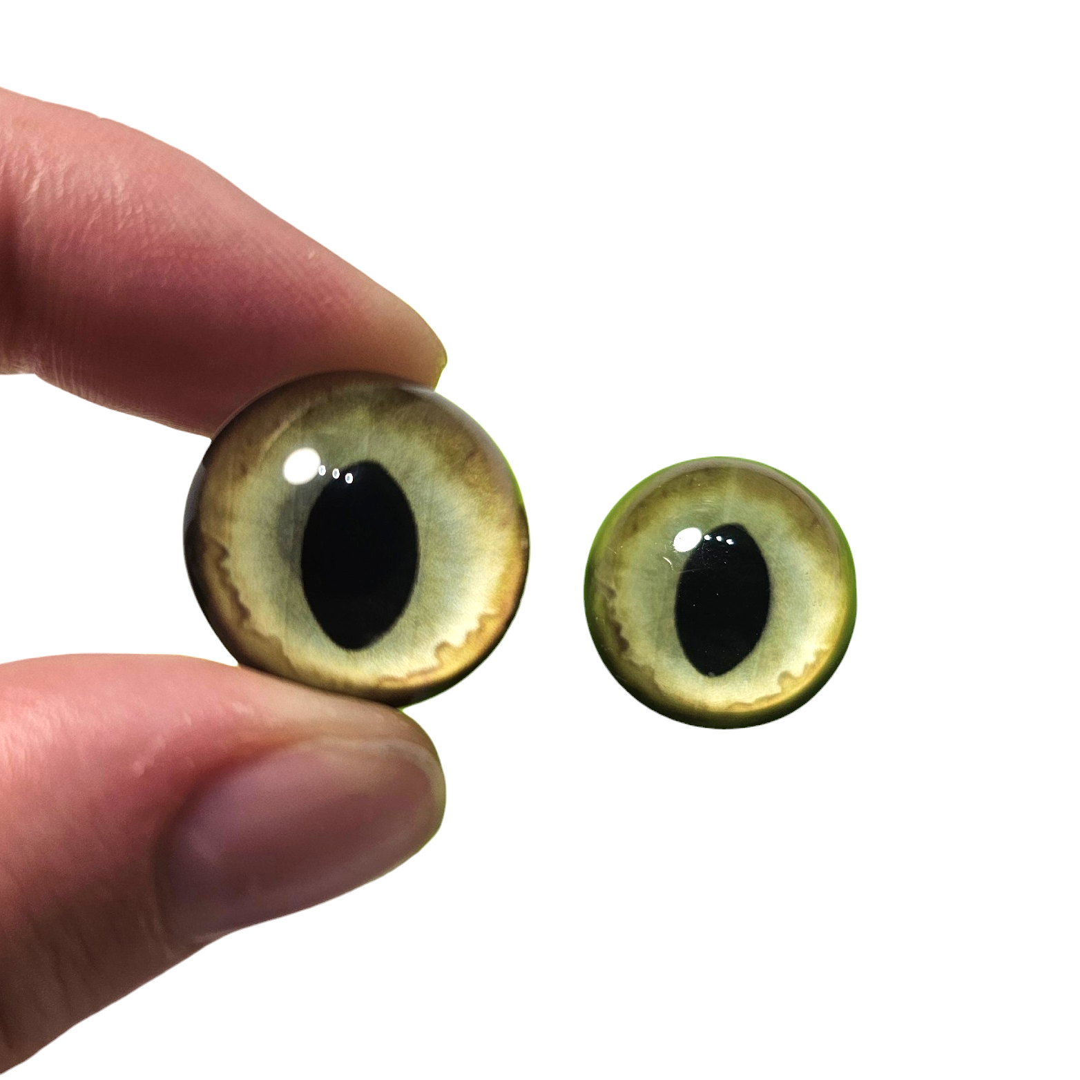 Wide Pupil Pale Gold Green Cat Eyes BC38 - Handmade Glass Taxidermy Eyes