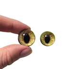 Brown Serval Eyes BC24 - Handmade Glass Taxidermy Eyes