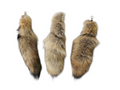 Real Fur Wild Coyote Tail Keychain - Ethically Sourced