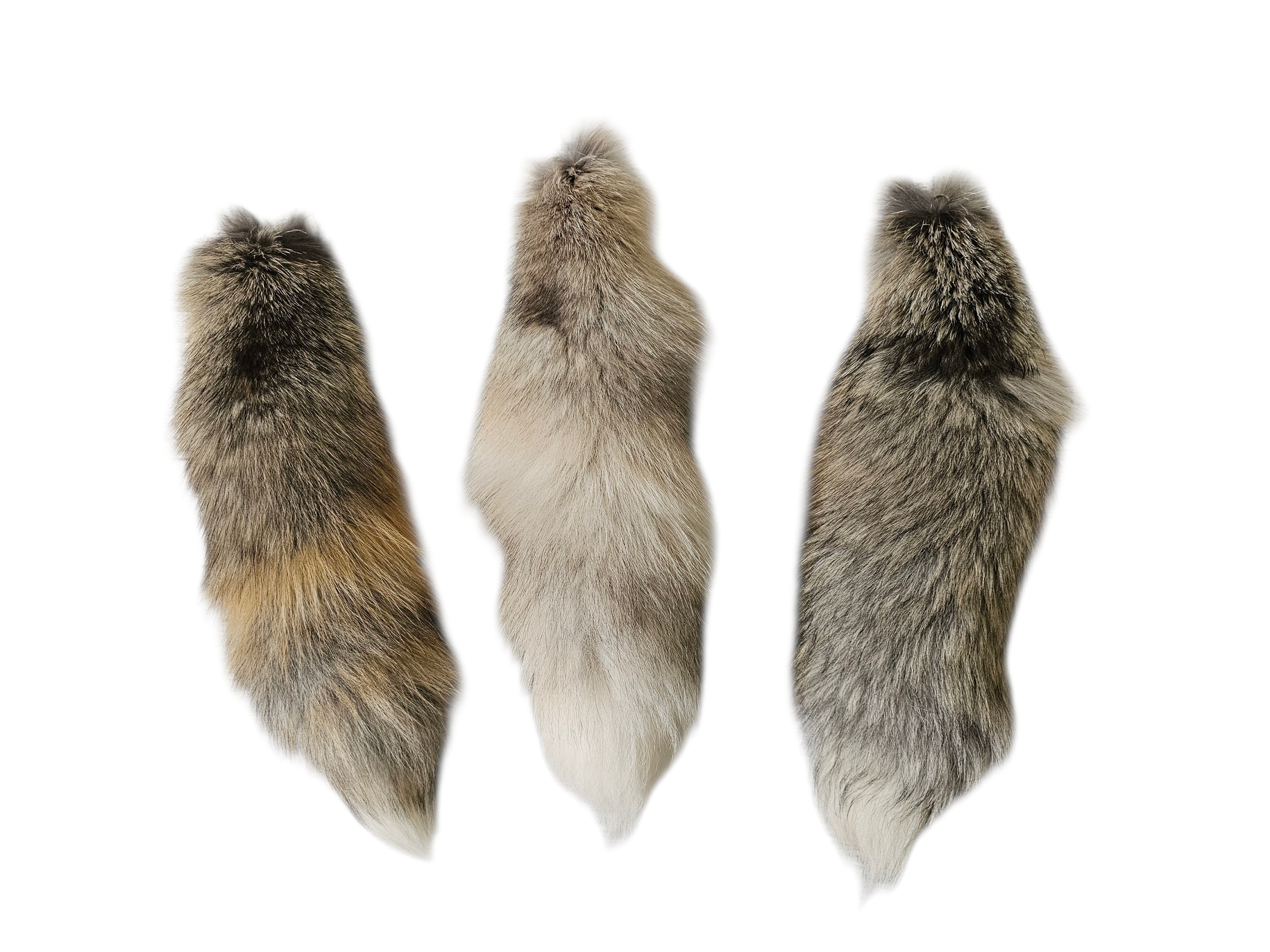 Real Fur Golden Island Hybrid Fox Tail Keychain - Ethically Sourced
