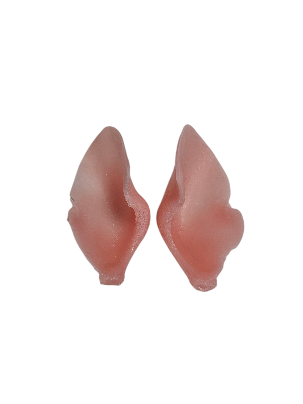Bobcat Ears - Taxidermy Ear Liners