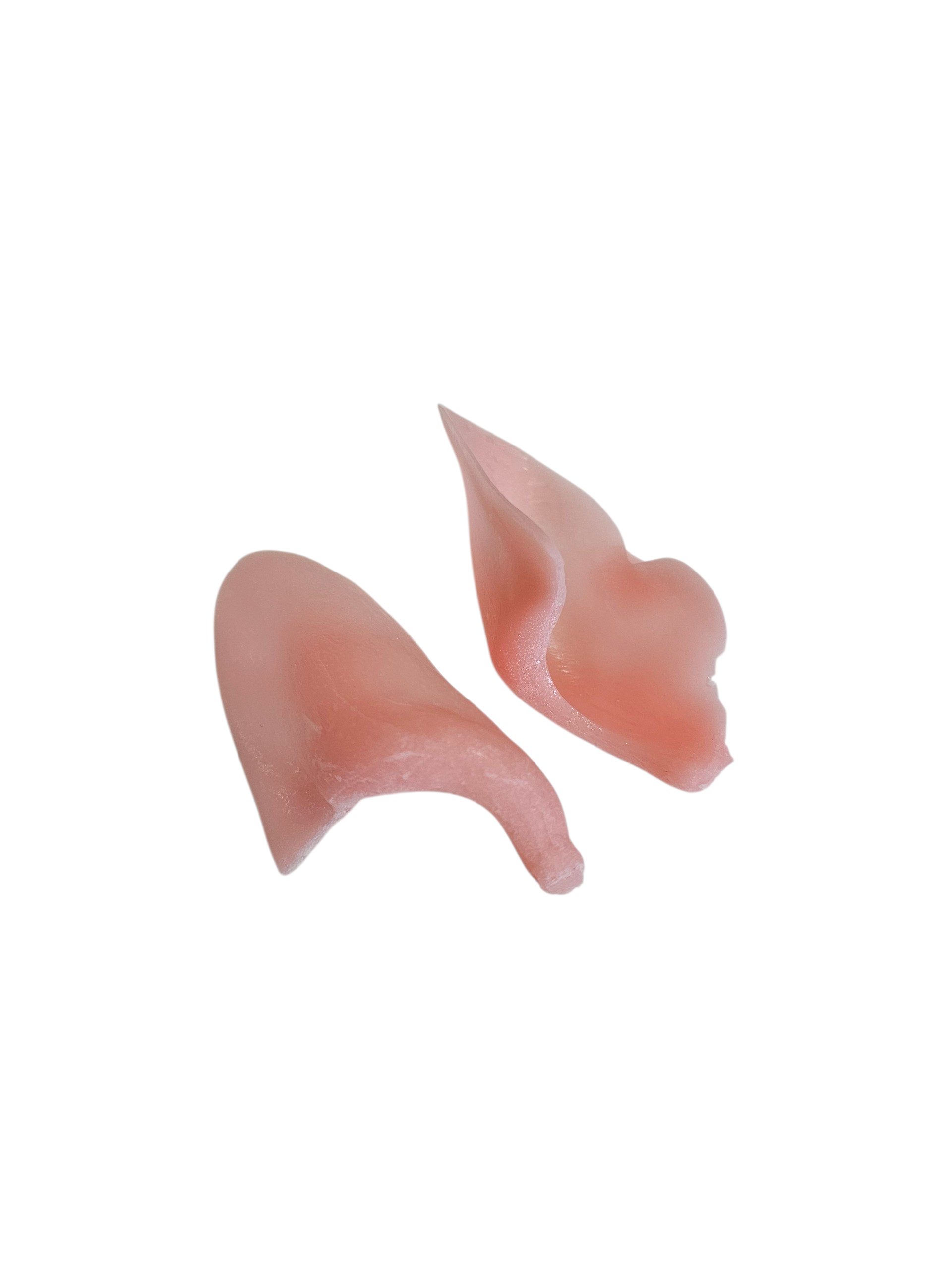 Bobcat Ears - Taxidermy Ear Liners