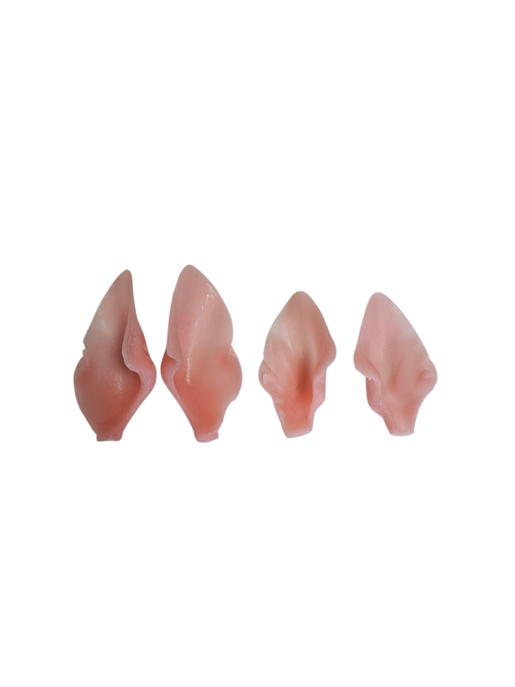 Bobcat Ears - Taxidermy Ear Liners