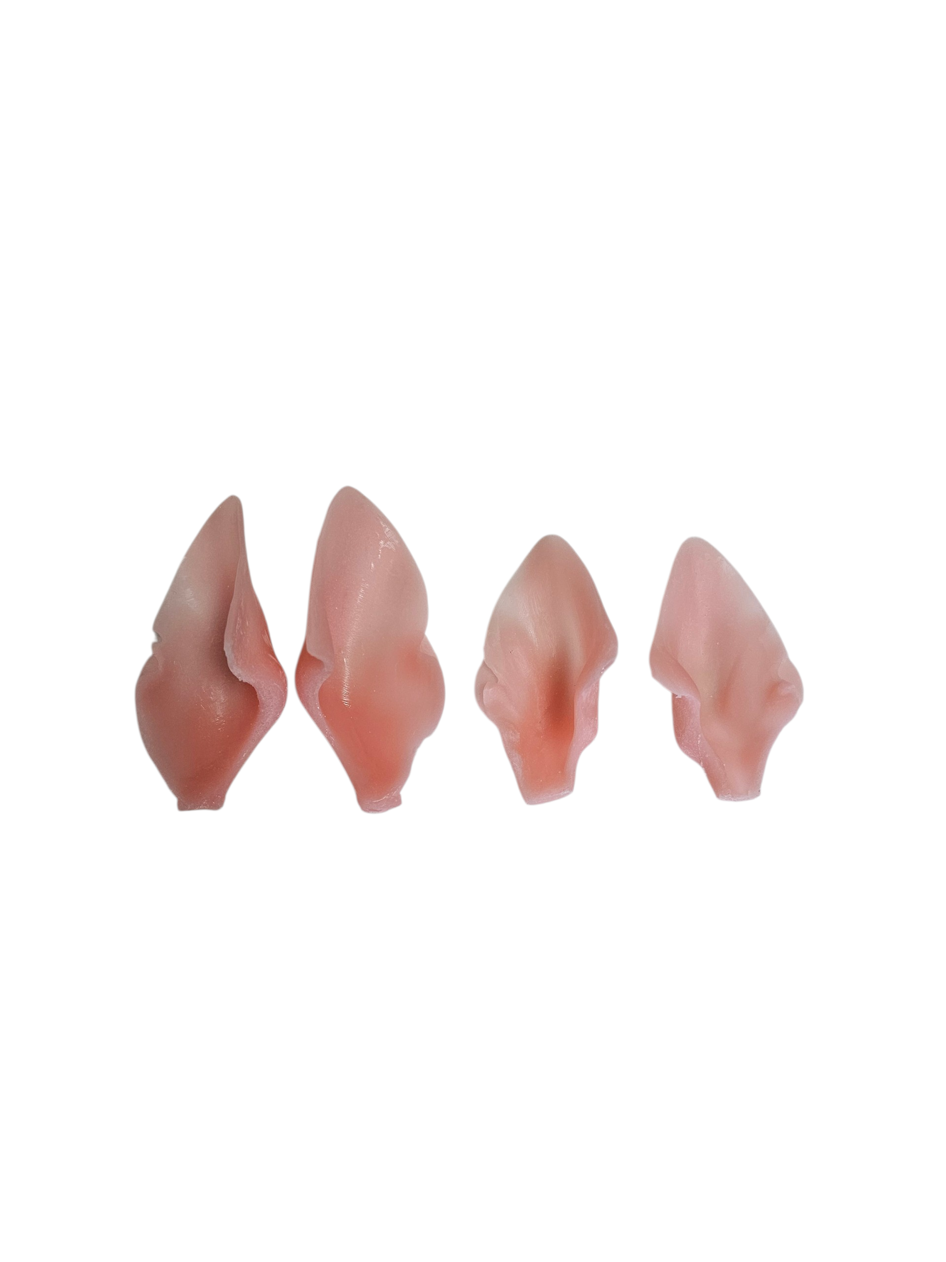 Bobcat Ears - Taxidermy Ear Liners