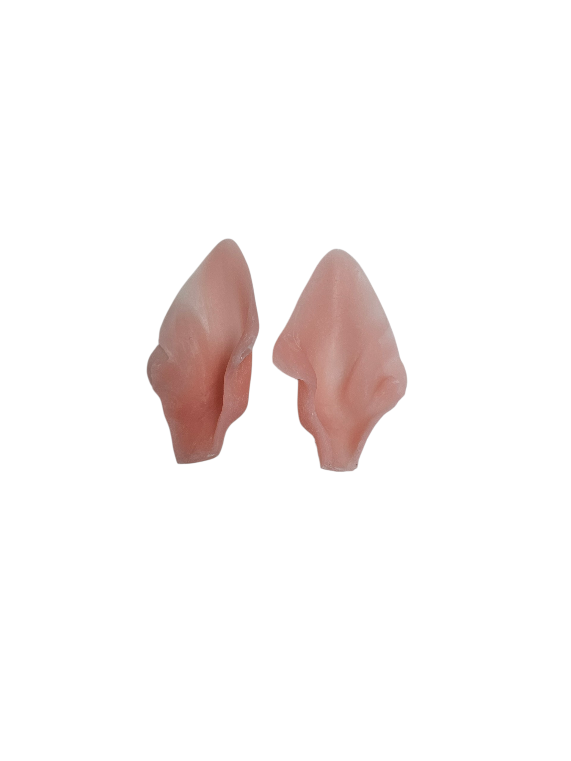 Bobcat Ears - Taxidermy Ear Liners
