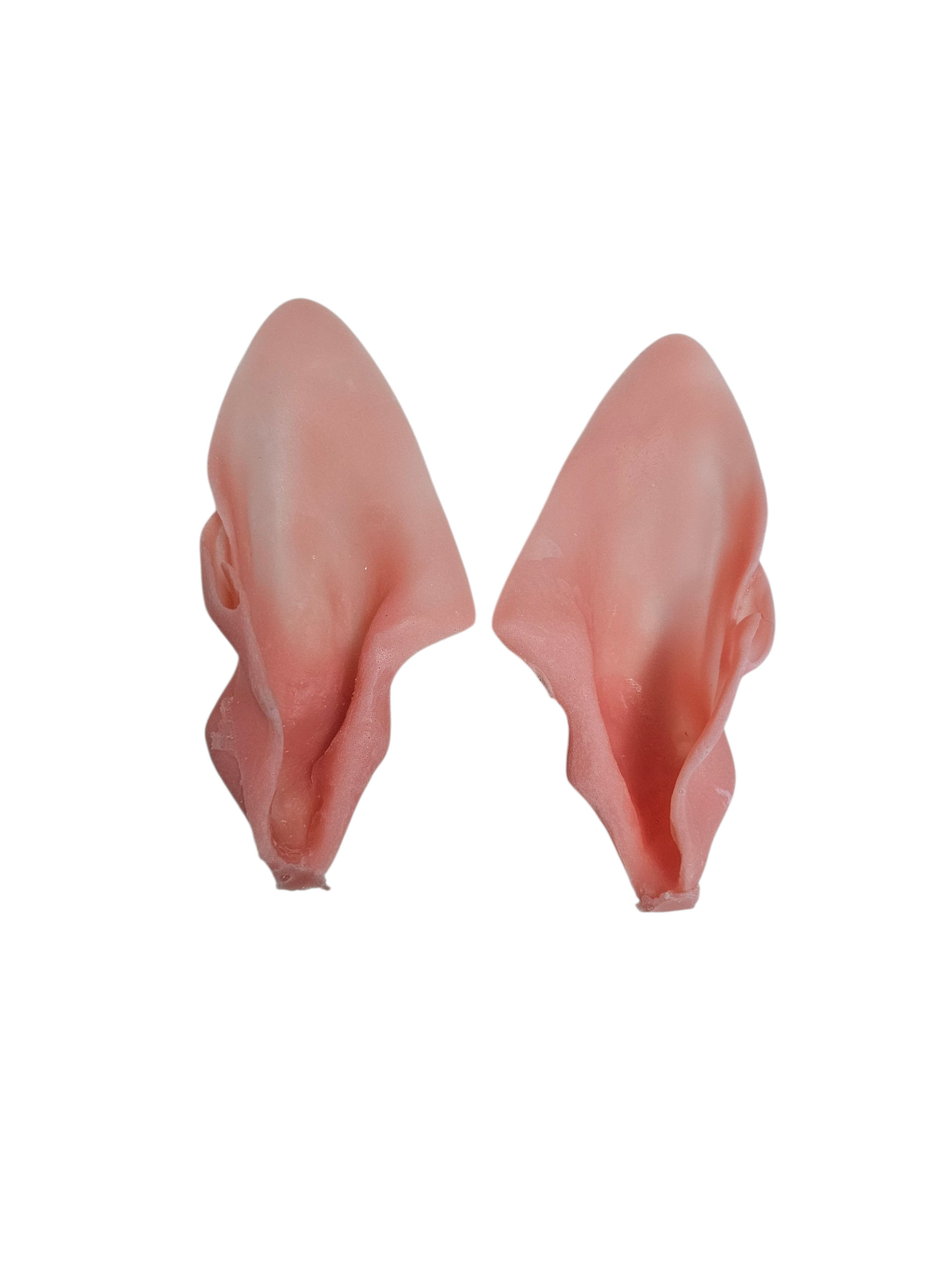 Coyote Ears - Taxidermy Ear Liners