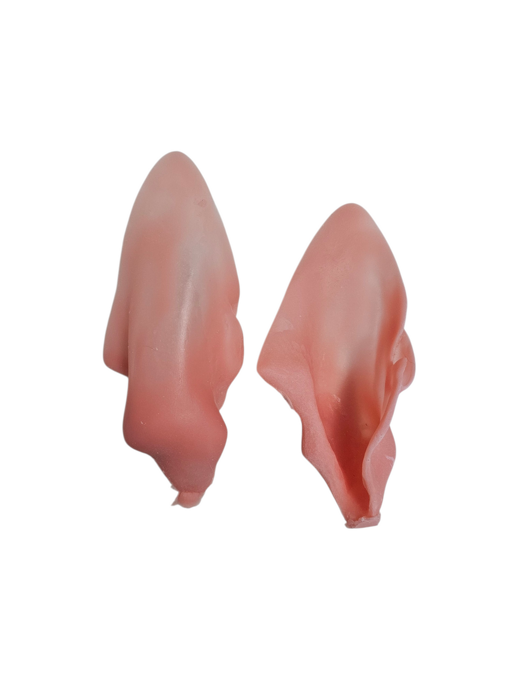 Coyote Ears - Taxidermy Ear Liners