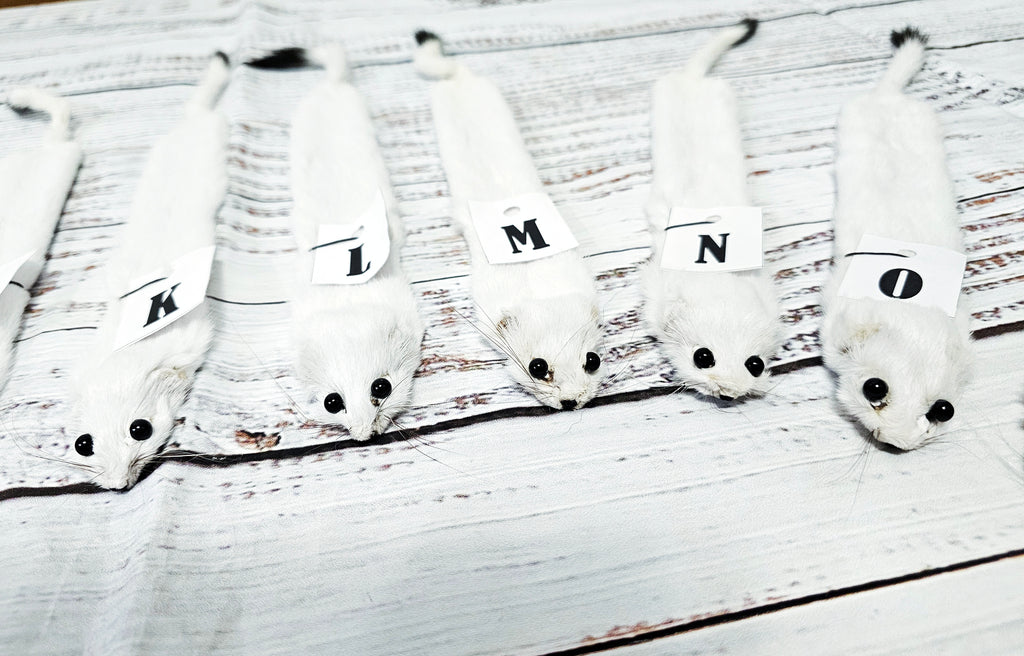 Weasel Slap Bracelet, Sherman the Ermine, White Ermine Slap Bracelet, Taxidermy Oddities Bracelet, Real Fur