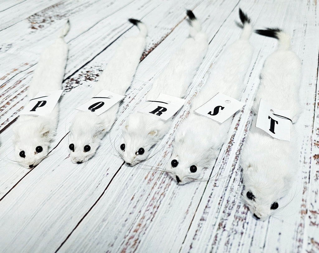 Weasel Slap Bracelet, Sherman the Ermine, White Ermine Slap Bracelet, Taxidermy Oddities Bracelet, Real Fur