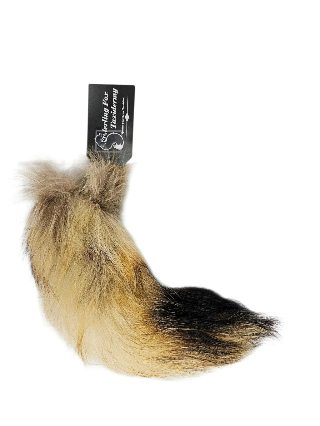 Choose Your Own Real Tanuki Raccoon Dog Tail Keychain - Ethically Sourced