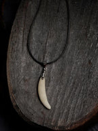 Fox Tooth Charm Necklace