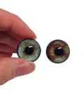Brown and Grey Blue Dog Heterochromia Eyes HC3 - Handmade Glass Taxidermy Eyes