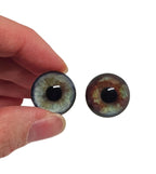 Brown and Grey Blue Dog Heterochromia Eyes HC3 - Handmade Glass Taxidermy Eyes