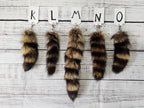 Choose Your Own Real Fur Raccoon Keychain - Ethically Sourced