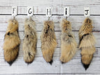 Choose Your Own Real Fur Coyote Tail Keychain - Ethically Sourced