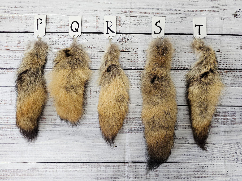 Choose Your Own Real Fur Coyote Tail Keychain - Ethically Sourced