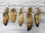 Choose Your Own Real Fur Coyote Tail Keychain - Ethically Sourced