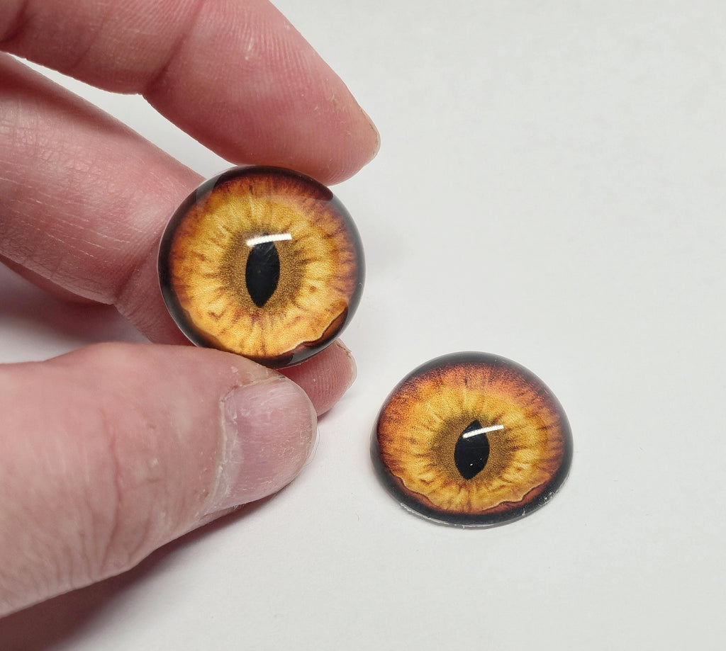 Pumpkin Orange Natural Bobcat BC30 - Handmade Glass Taxidermy Eyes