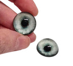 Mint Blue Coyote CW32- Handmade Glass Taxidermy Eyes