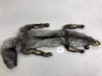 MADE TO ORDER DIY Pearl Fox Soft Mount Taxidermy Kit | Ready-to-Mount | Beginner Starter Kit for Soft or Traditional Taxidermy Kit ID #17