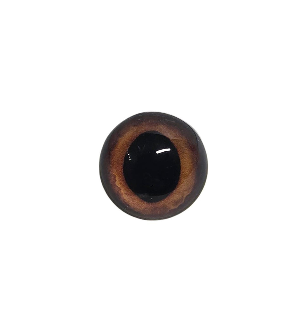 Dark Brown Wide Pupil Fox Eyes WRF40- Handmade Glass Taxidermy Eyes
