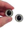 Frosty Wide Pupil Fox Eyes WRF21 - Handmade Glass Taxidermy Eyes