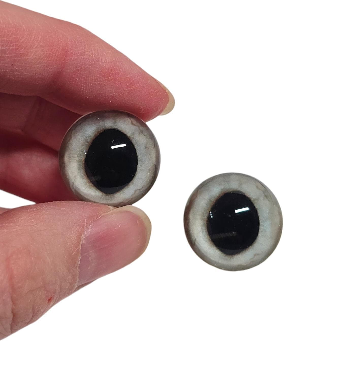 Frosty Wide Pupil Fox Eyes WRF21 - Handmade Glass Taxidermy Eyes