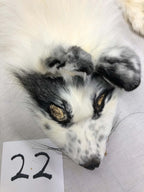 MADE TO ORDER DIY Marble Fox Soft Mount Taxidermy Kit | Ready-to-Mount | Beginner Starter Kit for Soft or Traditional Taxidermy Kit ID #22