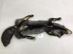 MADE TO ORDER DIY Silver Fox Soft Mount Taxidermy Kit | Ready-to-Mount | Beginner Starter Kit for Soft or Traditional Taxidermy Kit ID #19