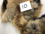 MADE TO ORDER DIY Gold Fox Soft Mount Taxidermy Kit | Ready-to-Mount | Beginner Starter Kit for Soft or Traditional Taxidermy Kit ID #10