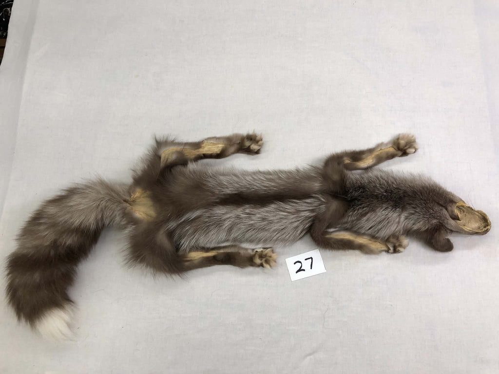 MADE TO ORDER DIY Dark Amber Fox Soft Mount Taxidermy Kit | Ready-to-Mount | Beginner Starter Kit for Soft or Traditional Taxidermy Kit ID #27