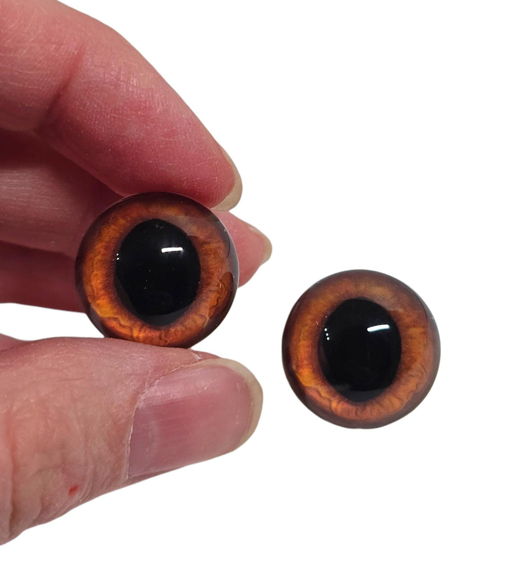 Orange Wide Pupil Fox Eyes WRF6 - Handmade Glass Taxidermy Eyes